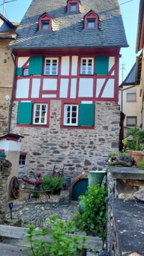 Ferienhaus Am Moselstausee
